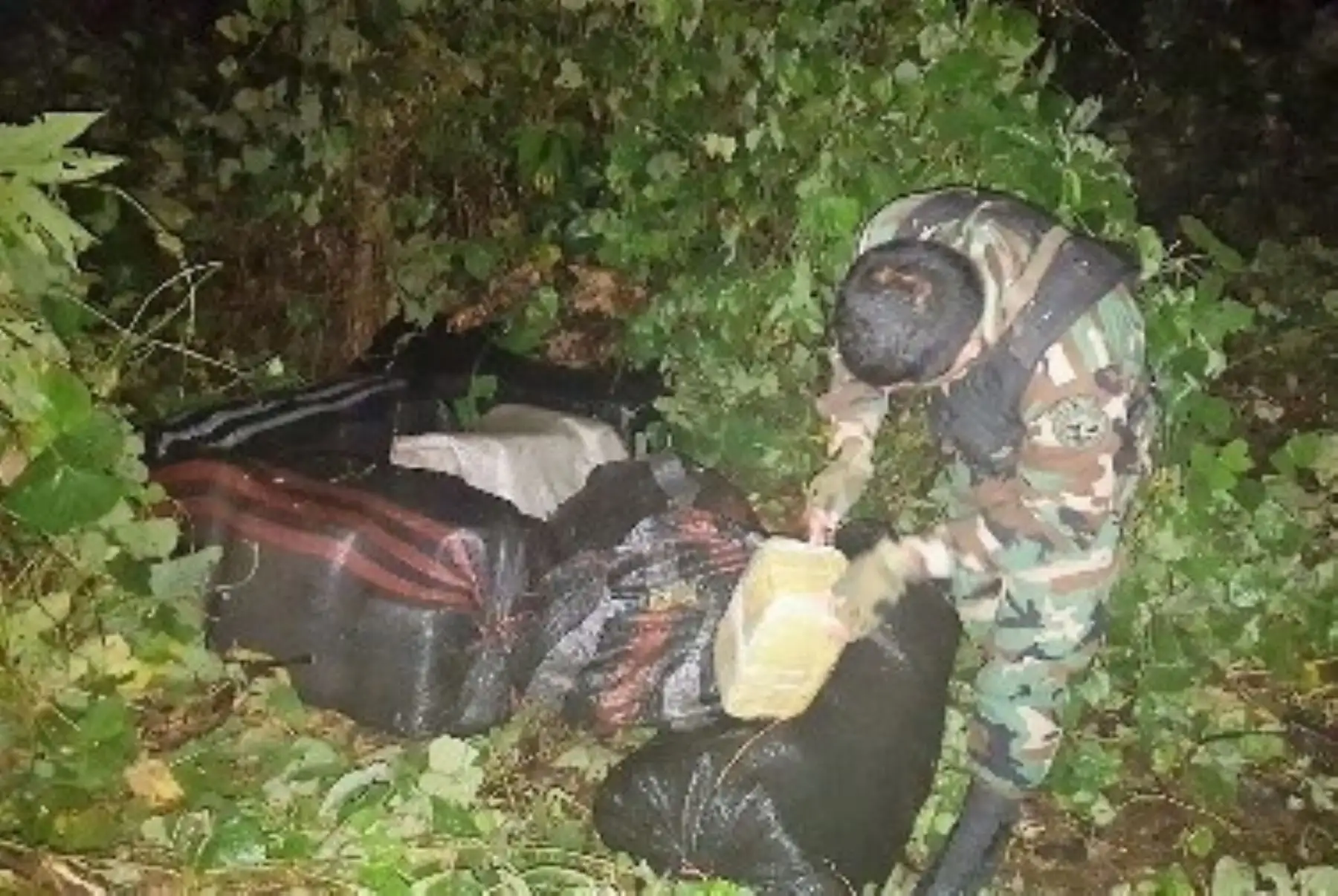 Agentes de la Dirandro incautan 224 kilos de marihuana en Huánuco.
