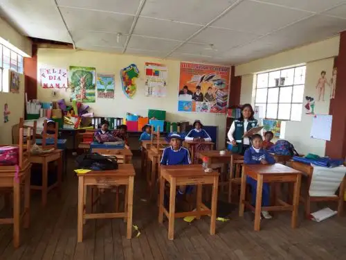 Serfor proporciona madera para fabricación de mobiliario escolar en Huancayo.