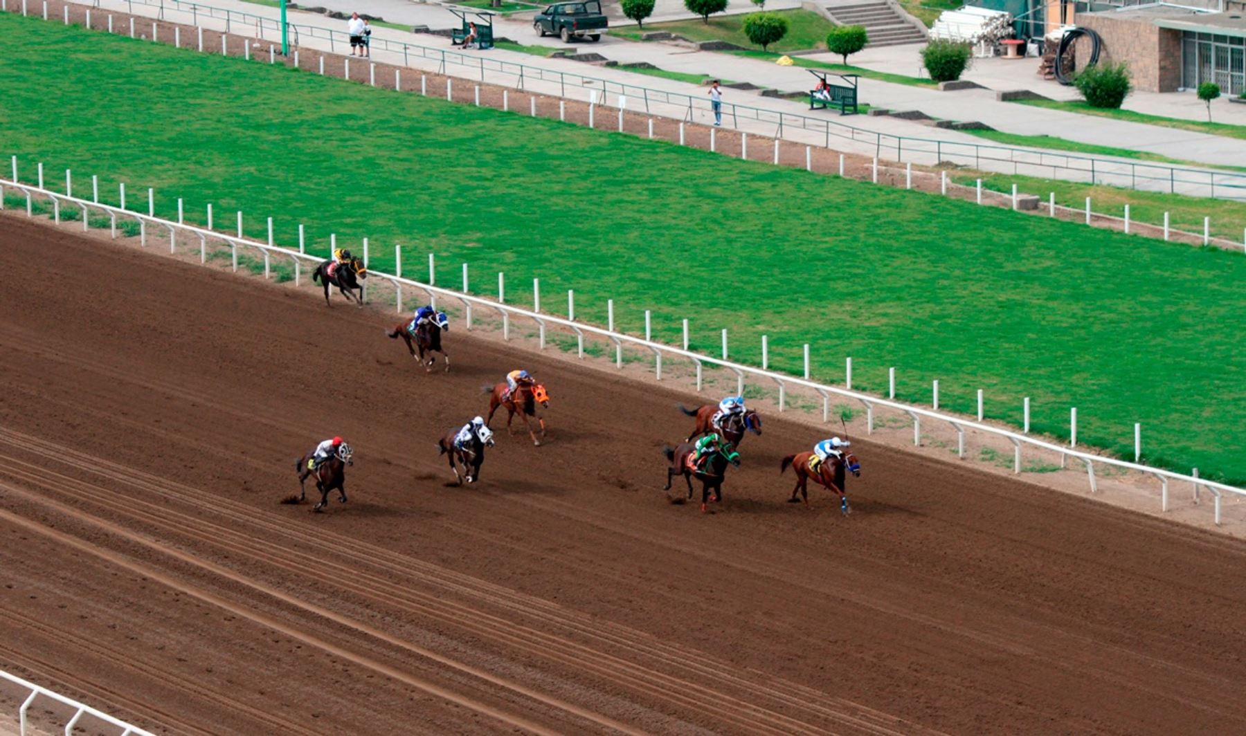 Pista de césped del Hipódromo de Monterrico.