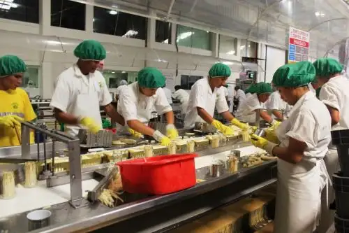 Trabajadores de empresa agroexportadora peruana Foto:  ANDINA.