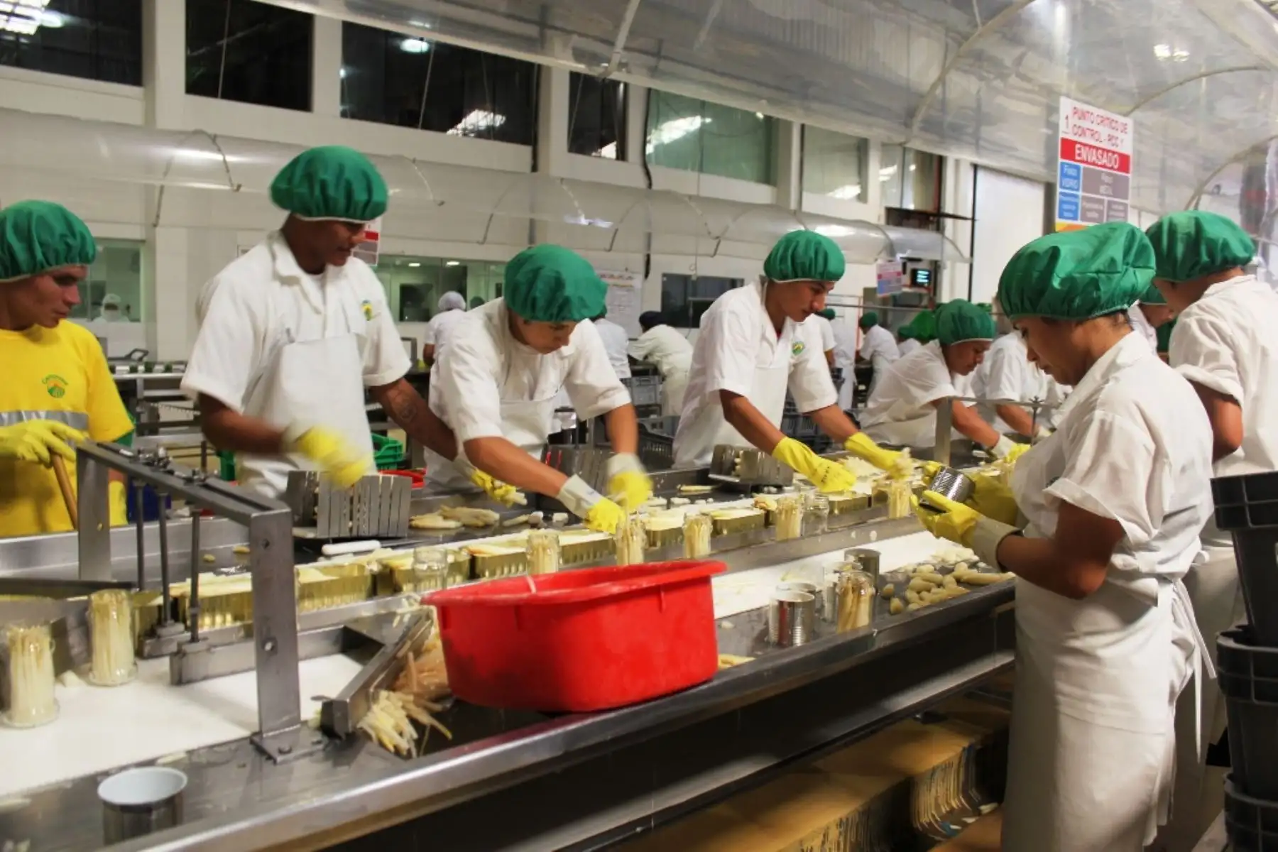 Trabajadores de empresa agroexportadora peruana Foto:  ANDINA.