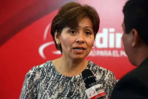Foto: ANDINA/Vidal Tarqui