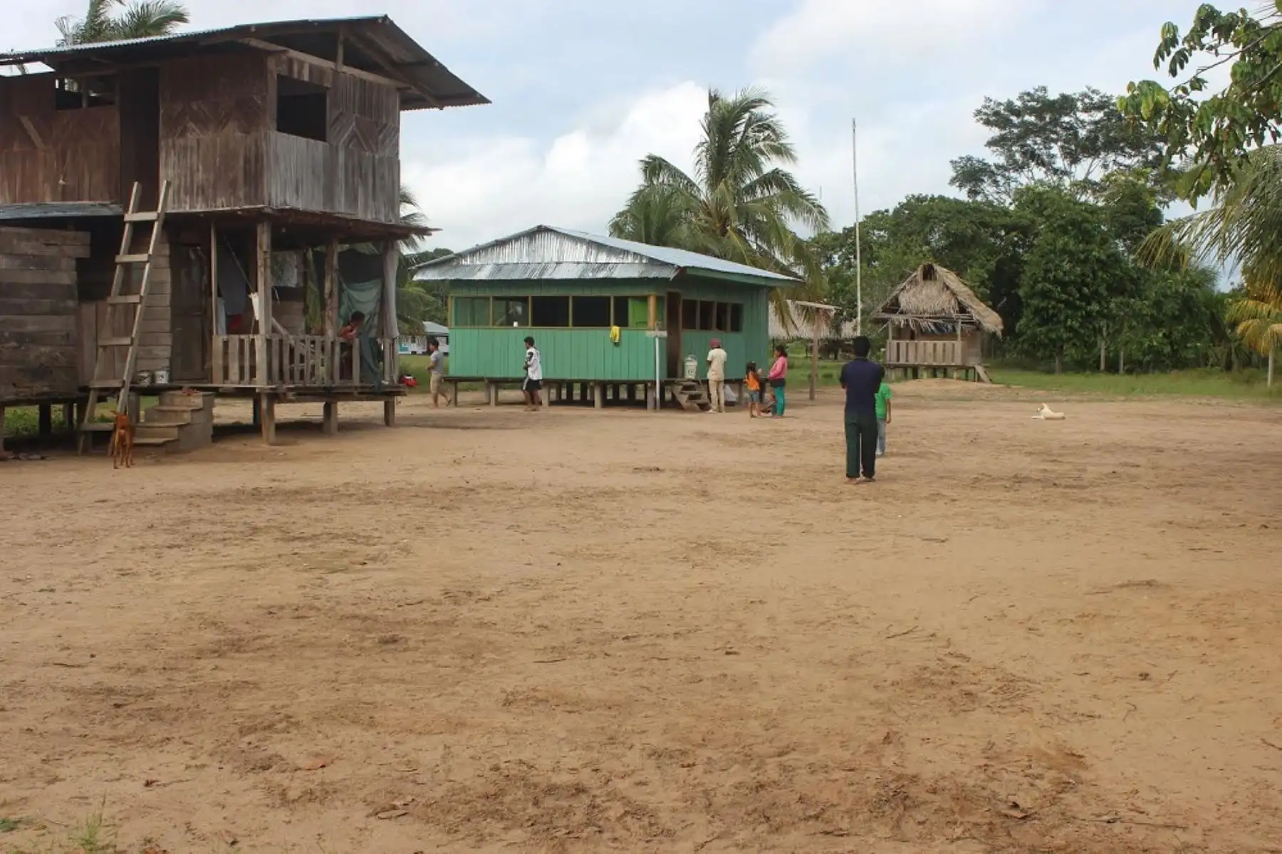 La comunidad indígena Monte Salvado está ubicada en distrito de Las Piedras, provincia de Tambopata, y colinda con la Reserva Territorial Madre de Dios.