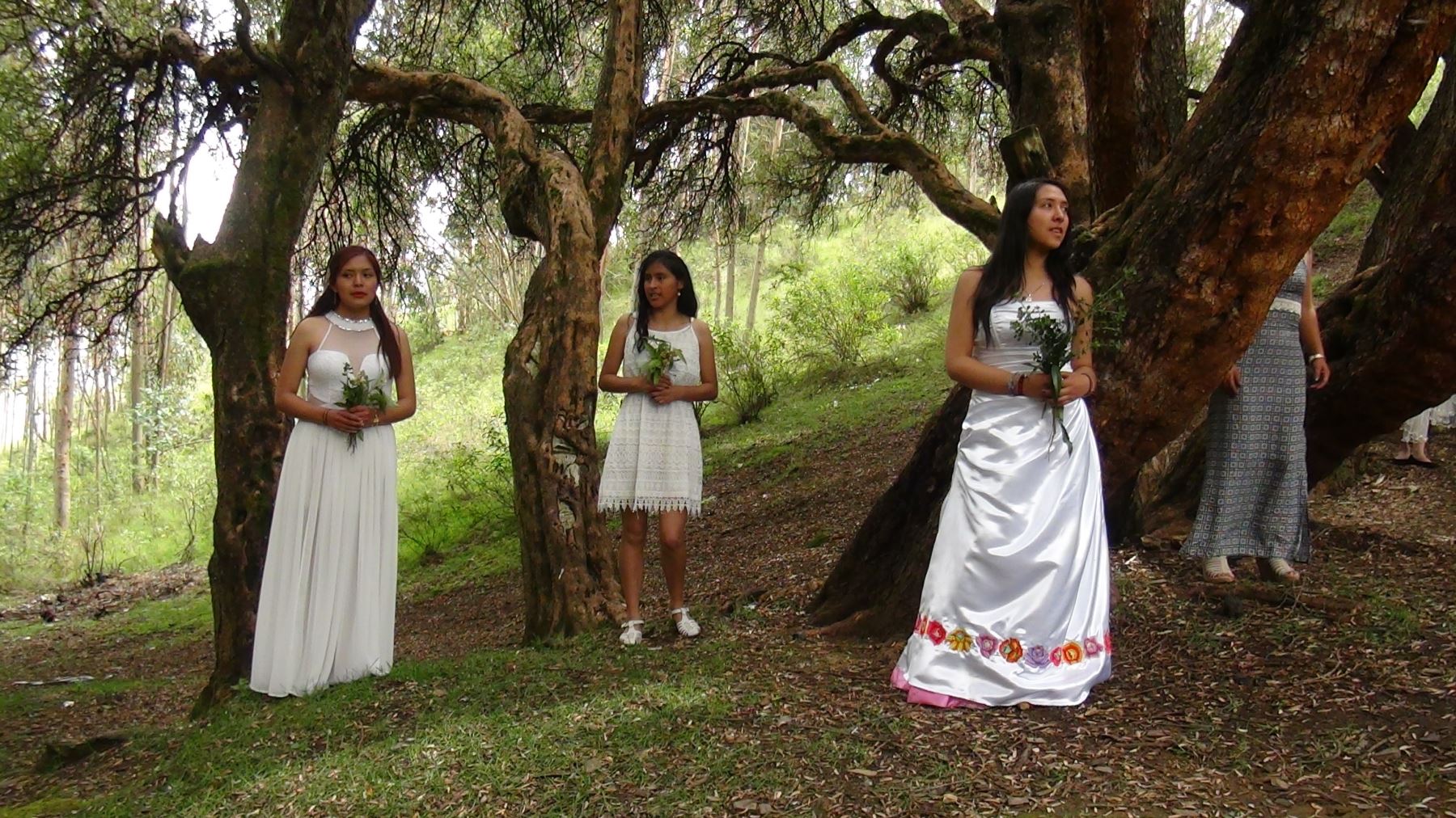 En conmemoración al Día Mundial de la Tierra, en el bosque dorado del anexo de Paccha, en el distrito de El Tambo, provincia de Huancayo, región Junín, se realizaron diversas actividades de sensibilización.