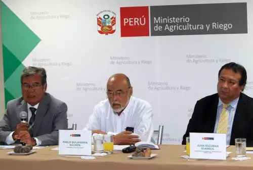 ANDINA/Héctor Vinces