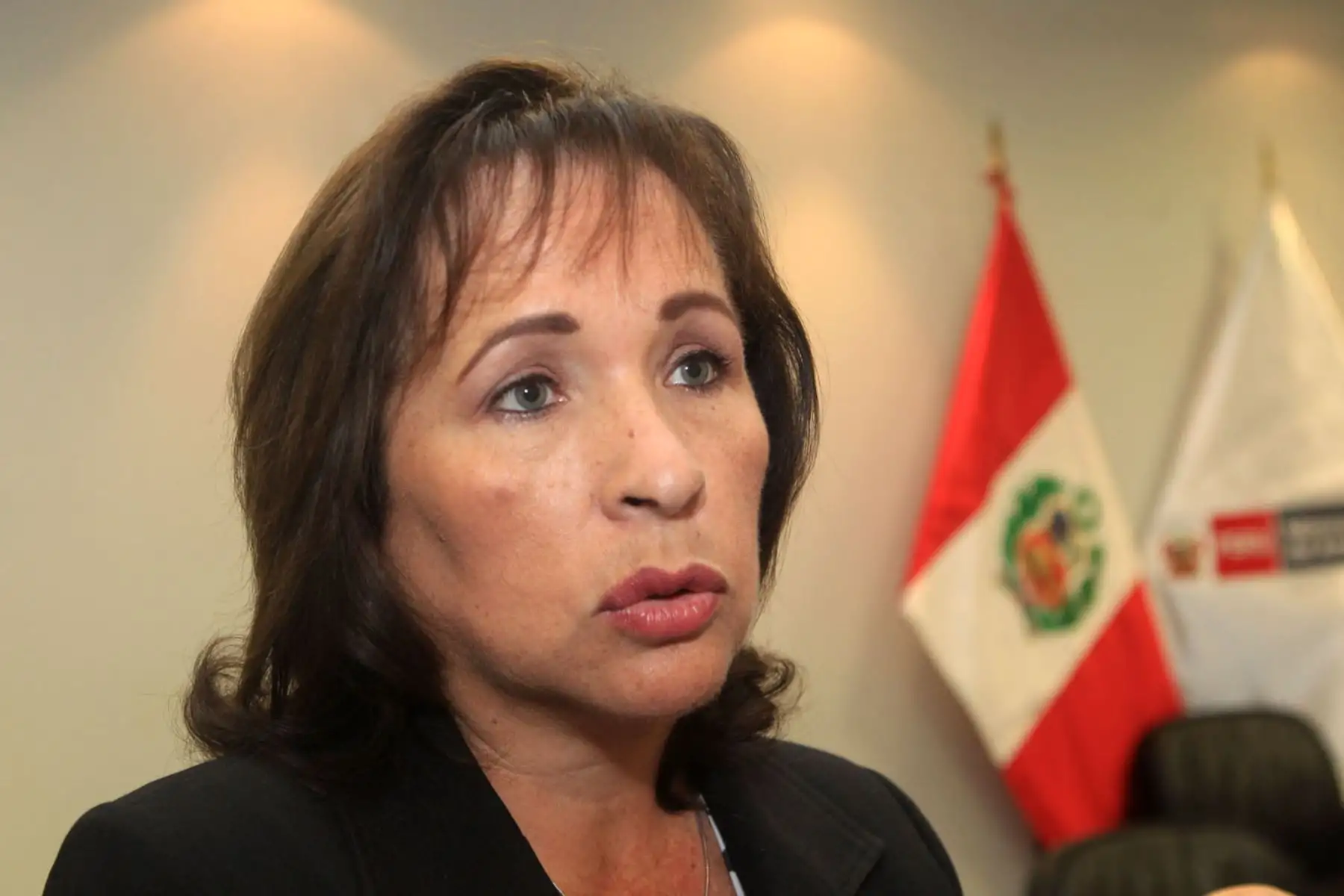 Ministra de Ambiente, Elsa Galarza. ANDINA/Héctor Vinces
