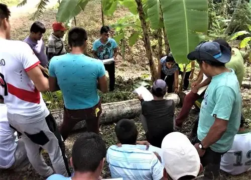 ANDINA/Difusión