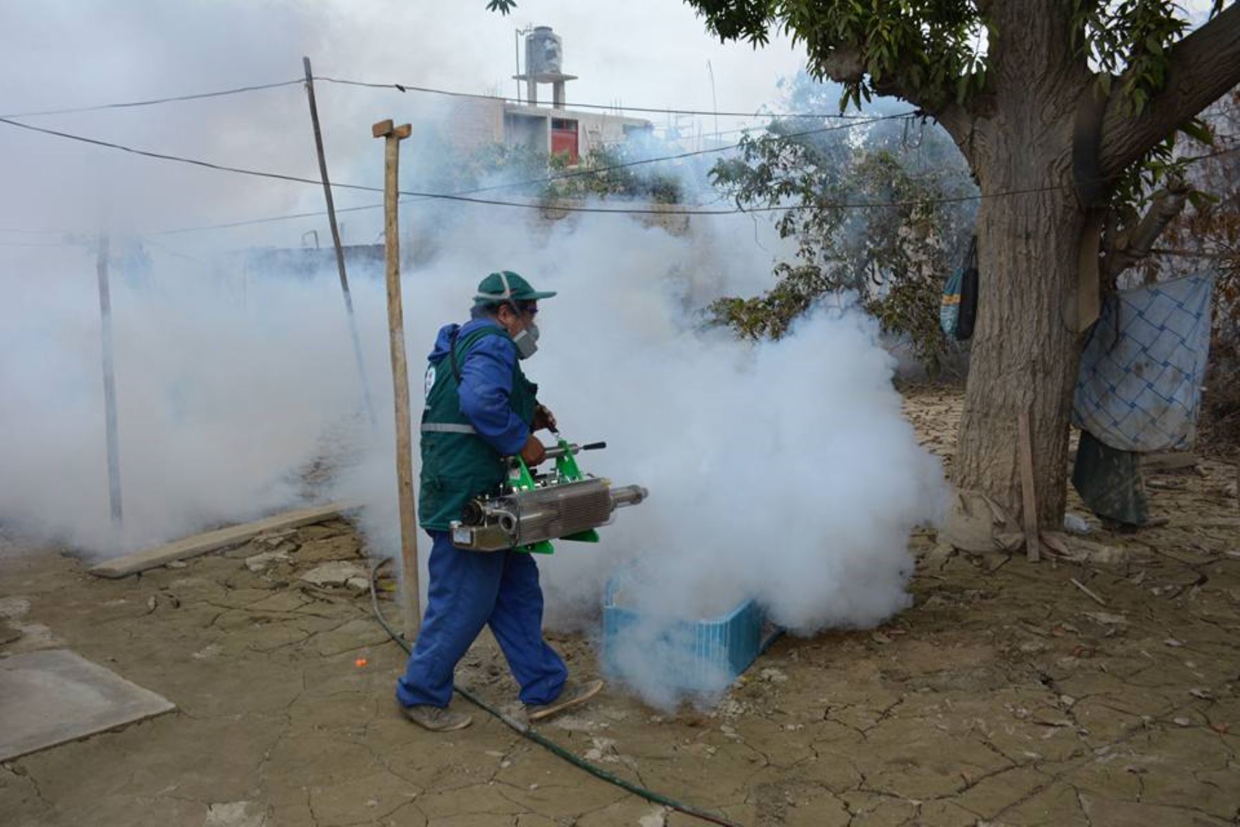 Inician fumigación preventiva contra el dengue en 7,200 viviendas de Huarmey | Noticias | Peruana de Noticias Andina