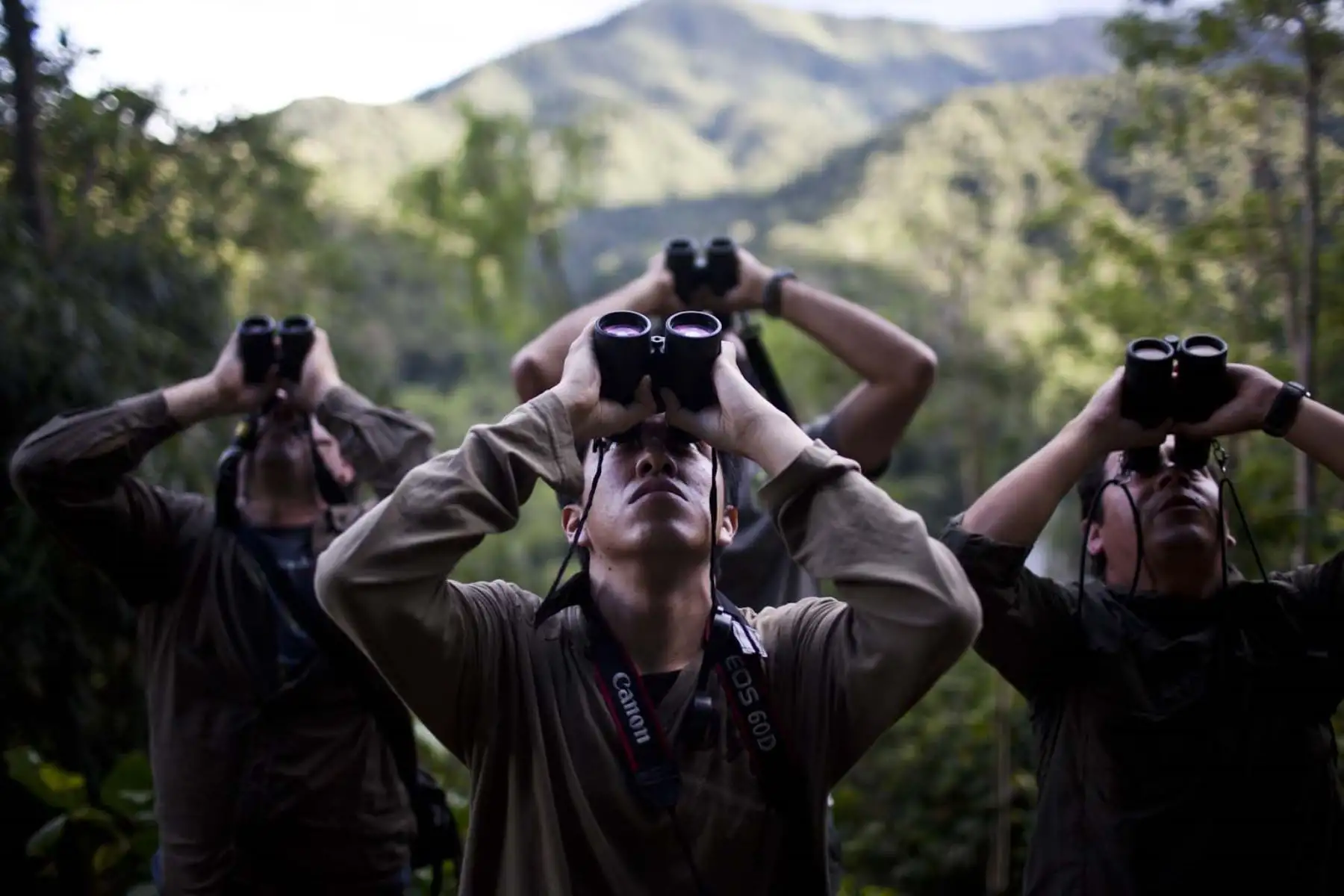 Perú irá en busca del primer lugar en el concurso de observación de aves Global Big Day 2018.