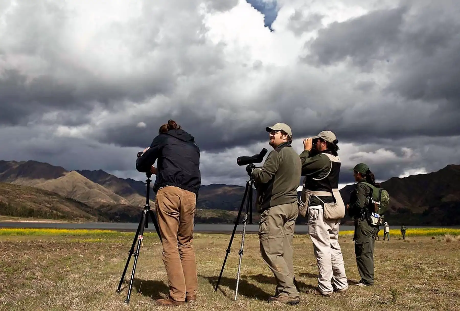 Observadores de aves.