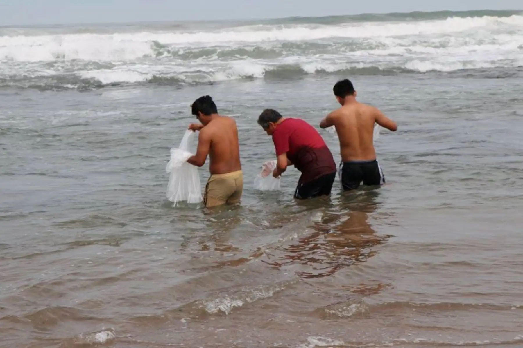 Proyecto de investigación fomentará pesca artesanal en el mar de Tacna.