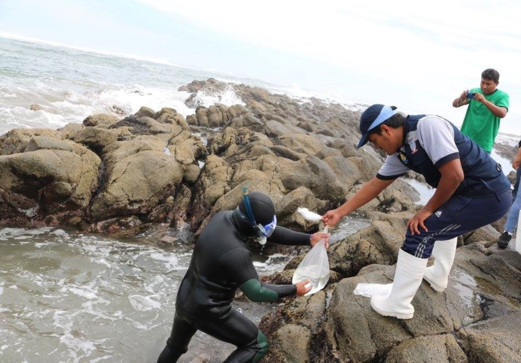 Proyecto de investigación fomentará pesca artesanal en el mar de Tacna.