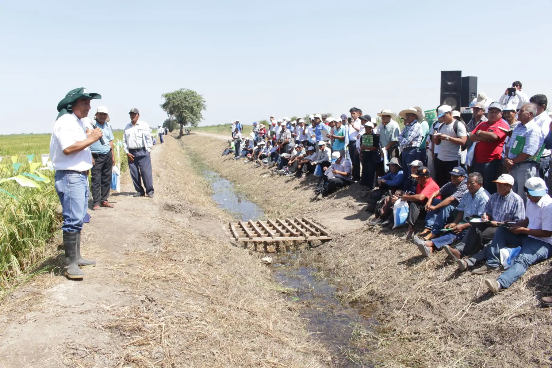 INIA capacita a más de 400 productores de arroz de Lambayeque y La Libertad. ANDINA