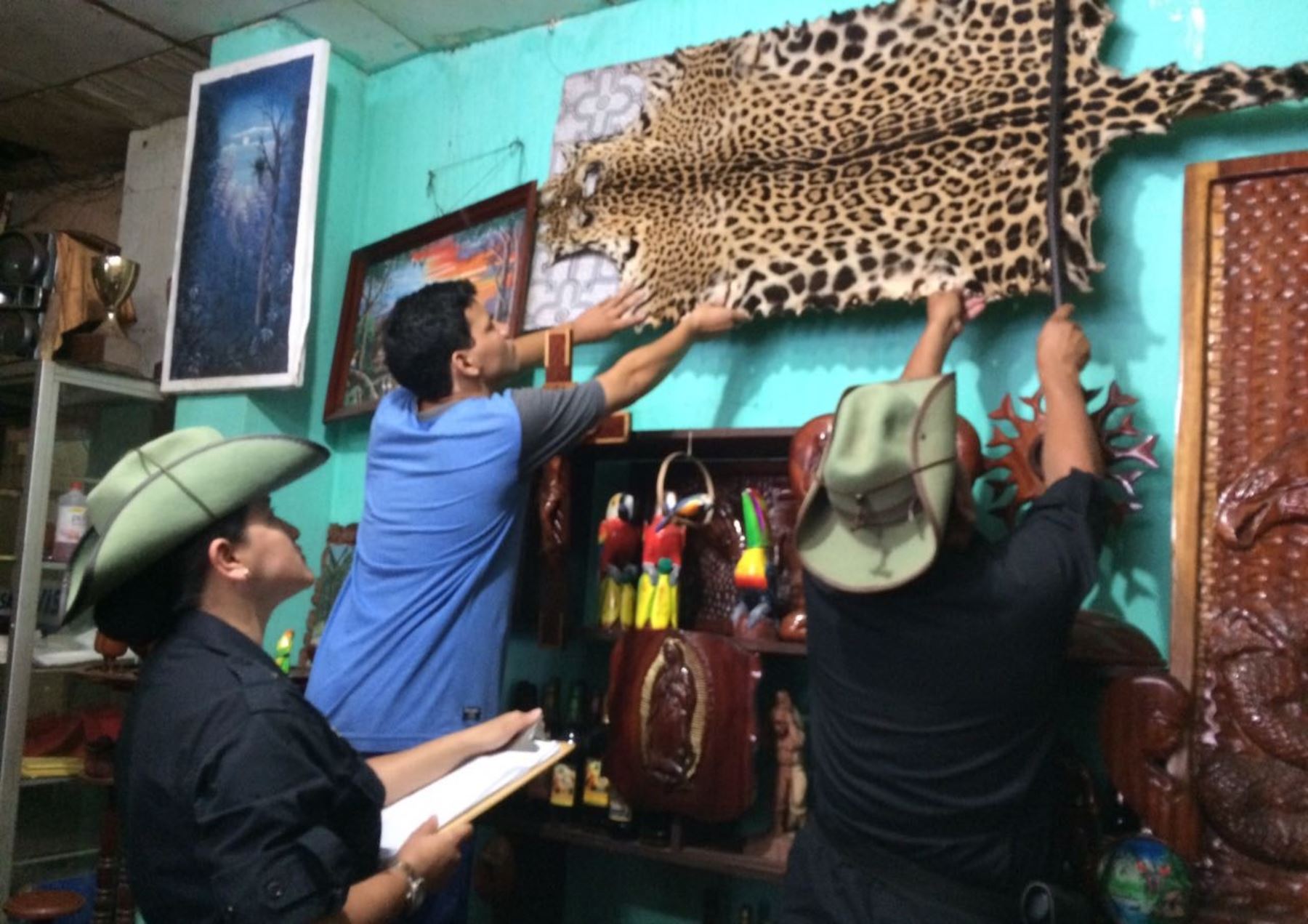 Policía rescata a tigrillo que era comercializado en mercado de Loreto
