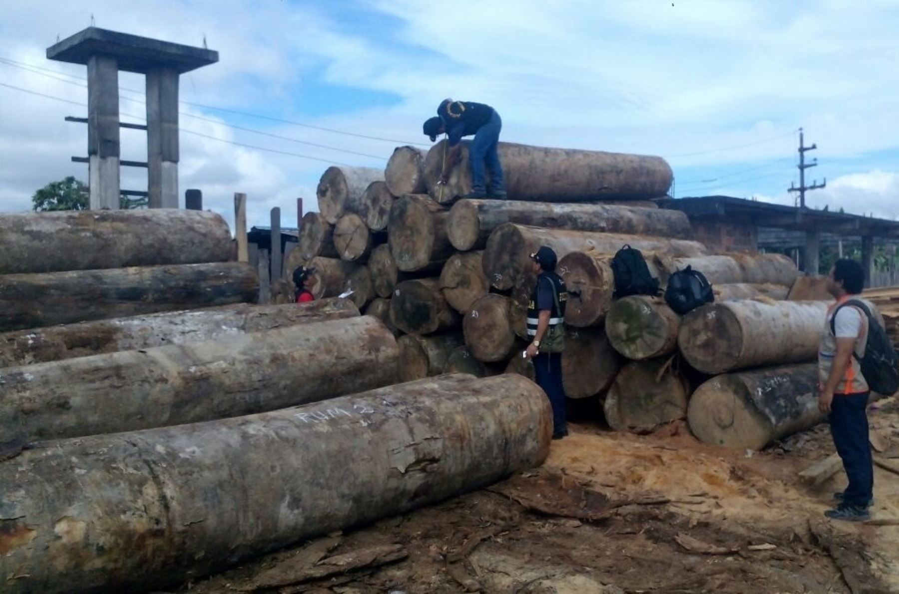 Policía incauta 1.5 millones de pies tablares de madera tras operativos en la región Loreto.
