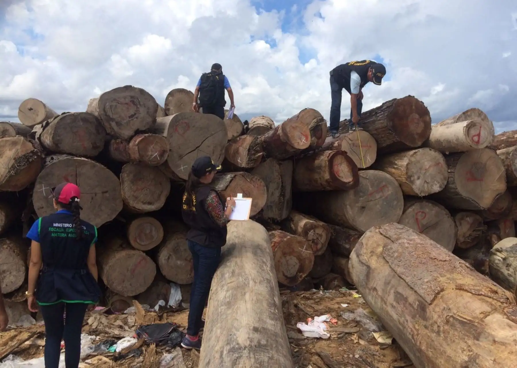 Policía incauta 1.5 millones de pies tablares de madera tras operativos en la región Loreto.