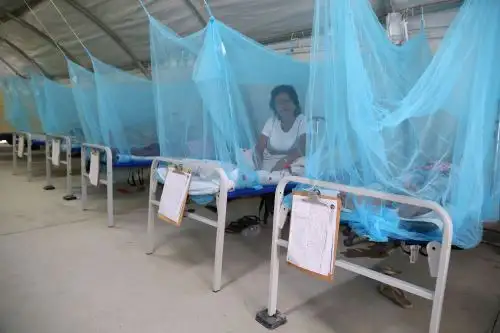 Tumbes reporta un ascenso de casos de dengue en la región por lo que intensificará la fumigación de viviendas y locales públicos y privados. ANDINA/Vidal Tarqui