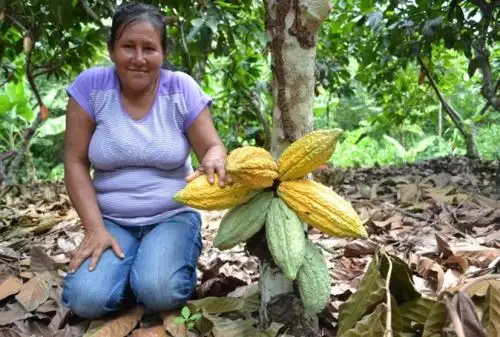 El compromiso fue asumido con un acta de entendimiento con los agricultores de las comunidades Túpac Amaru, Huacamayo, El Porvenir, Nueva Pizana Iscote y Santa Rosa de Mishollo.
