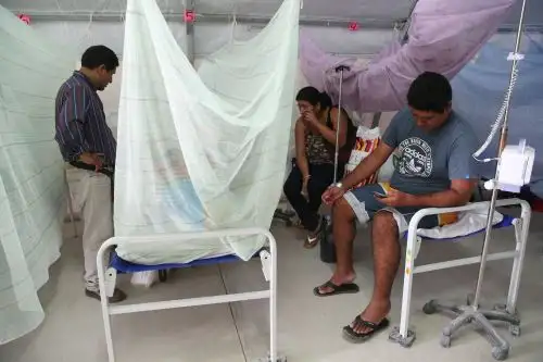 Aprende a reconocer los principales síntomas del dengue
