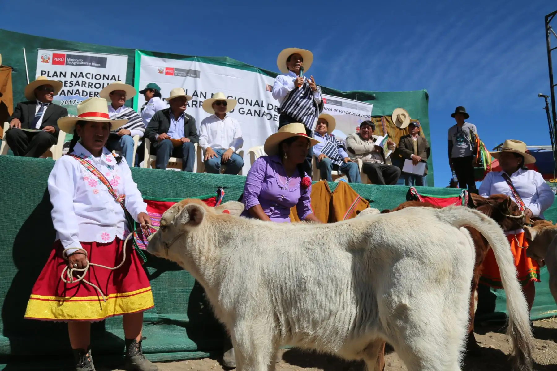 Foto: Ganadería.