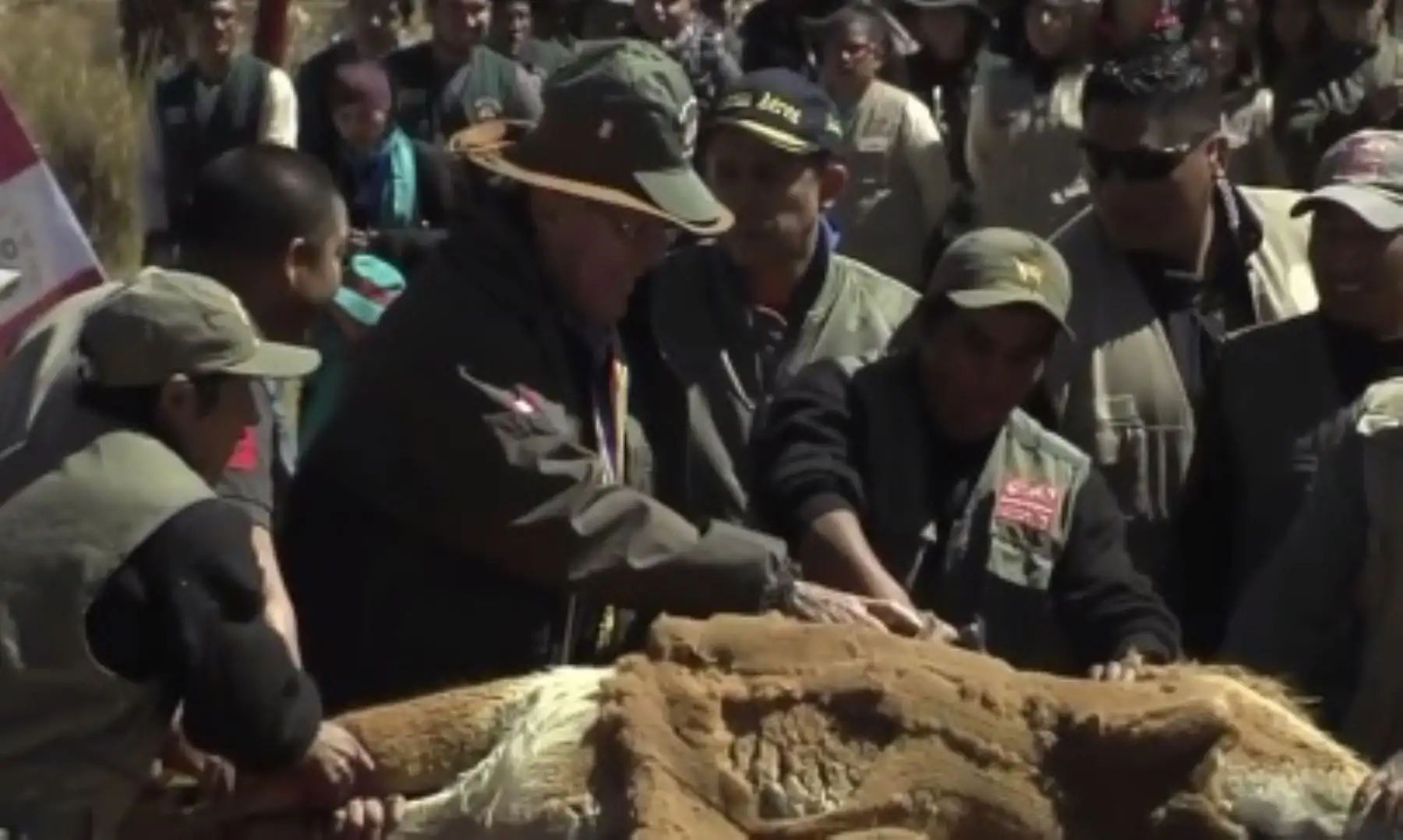 Presidente de la República, Pedro Pablo Kuczynski, participa en esquila de fibra de vicuña, durante celebración del 50 aniversario de creación de la Reserva Nacional Pampa Galeras Bárbara D