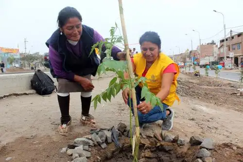 Foto: Municipalidad de Lima