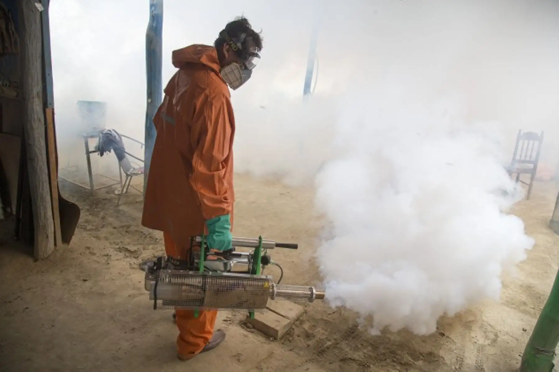 Intensifican acciones de control para prevenir el dengue, chikunguña y zika. ANDINA/Difusión