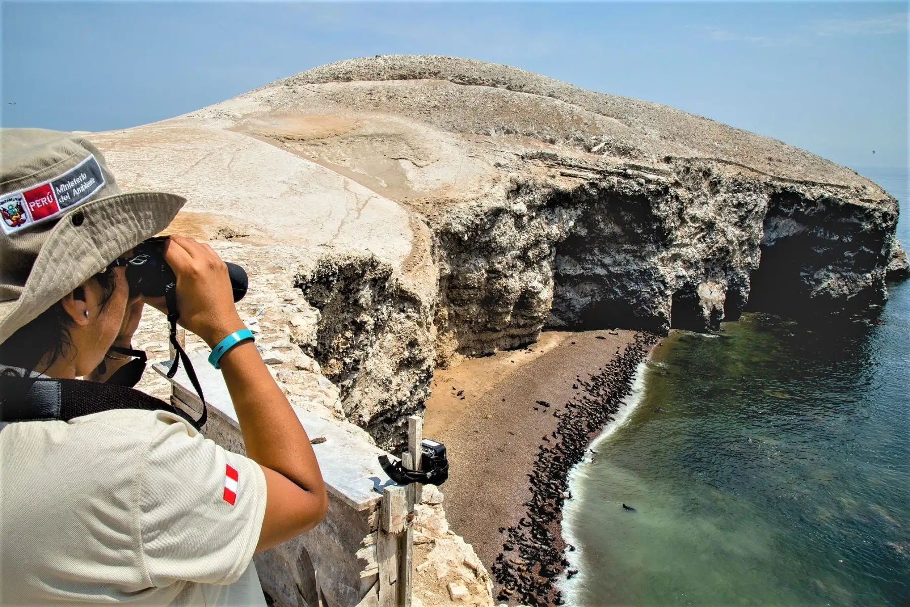 Turismo en Paracas. Foto: ANDINA/Difusión