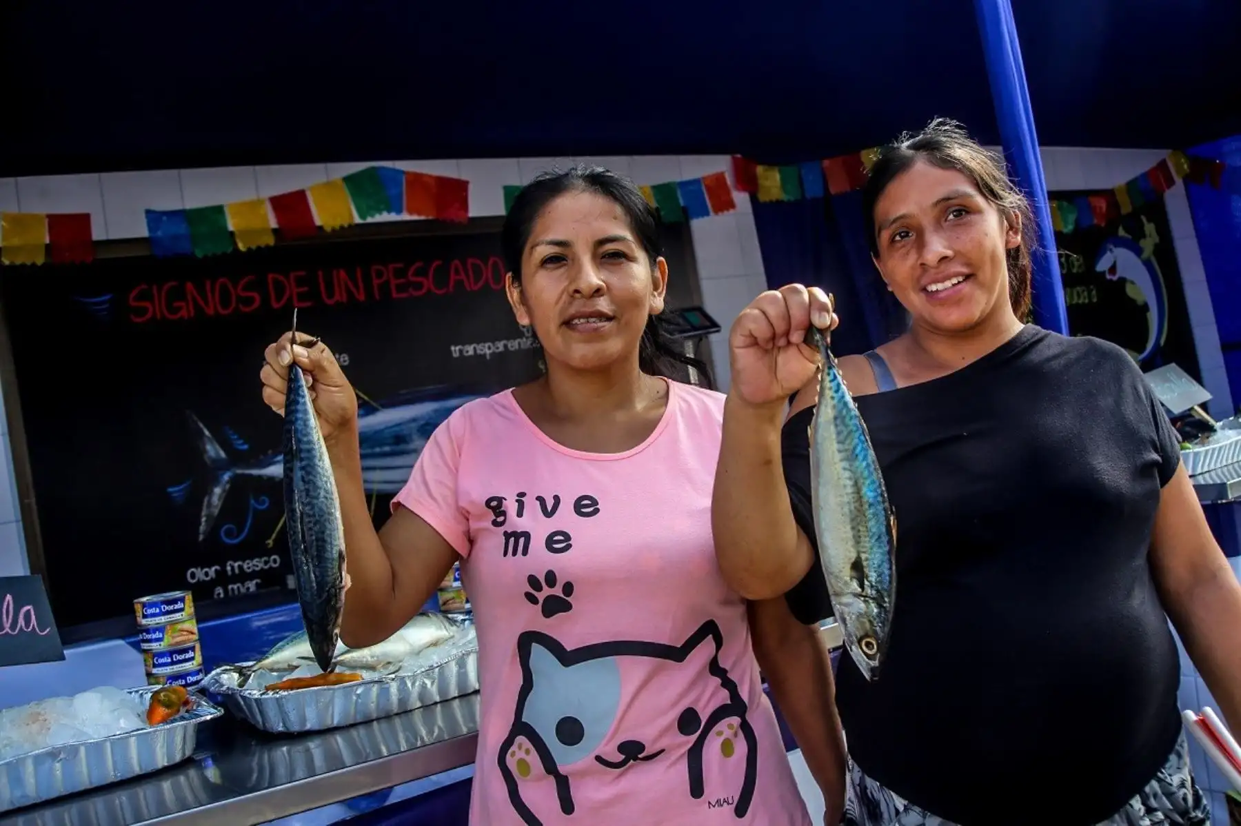 Pescados azules ayudan a las gestantes a prevenir partos prematuros.