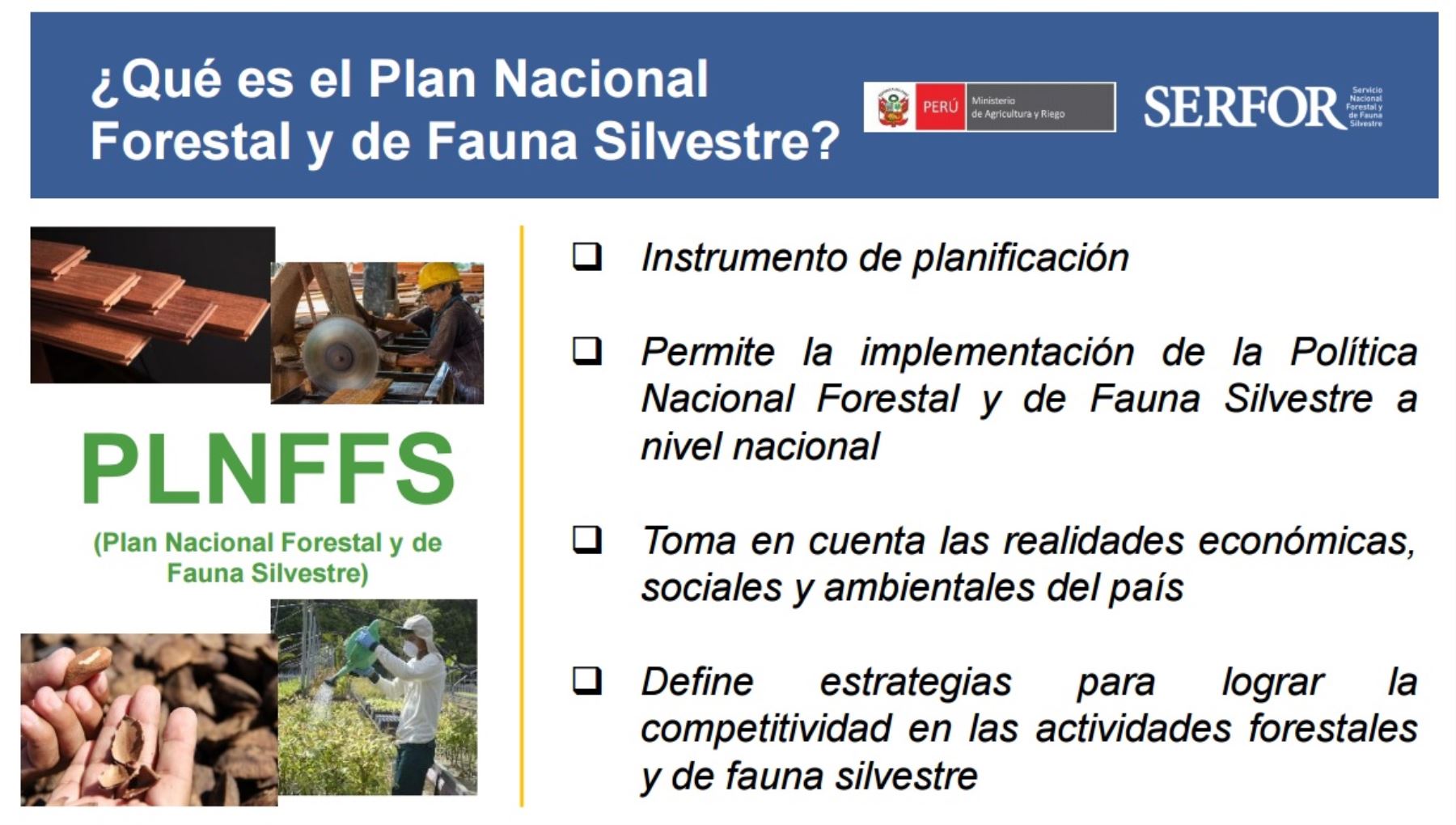 Concepto de Plan Nacional Forestal y de Fauna Silvestre