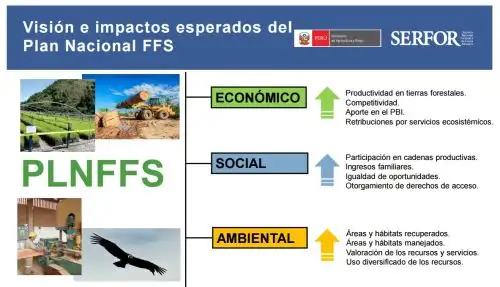 Visión e impactos esperados en el Plan Nacional Forestal y de Fauna Silvestre