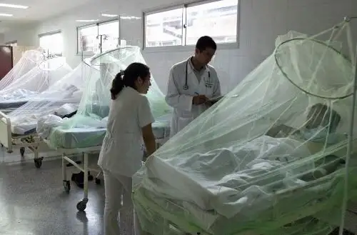 ¿Cuáles son los factores por lo que se puede agravar un caso de dengue?. Foto: Andina/Difusión