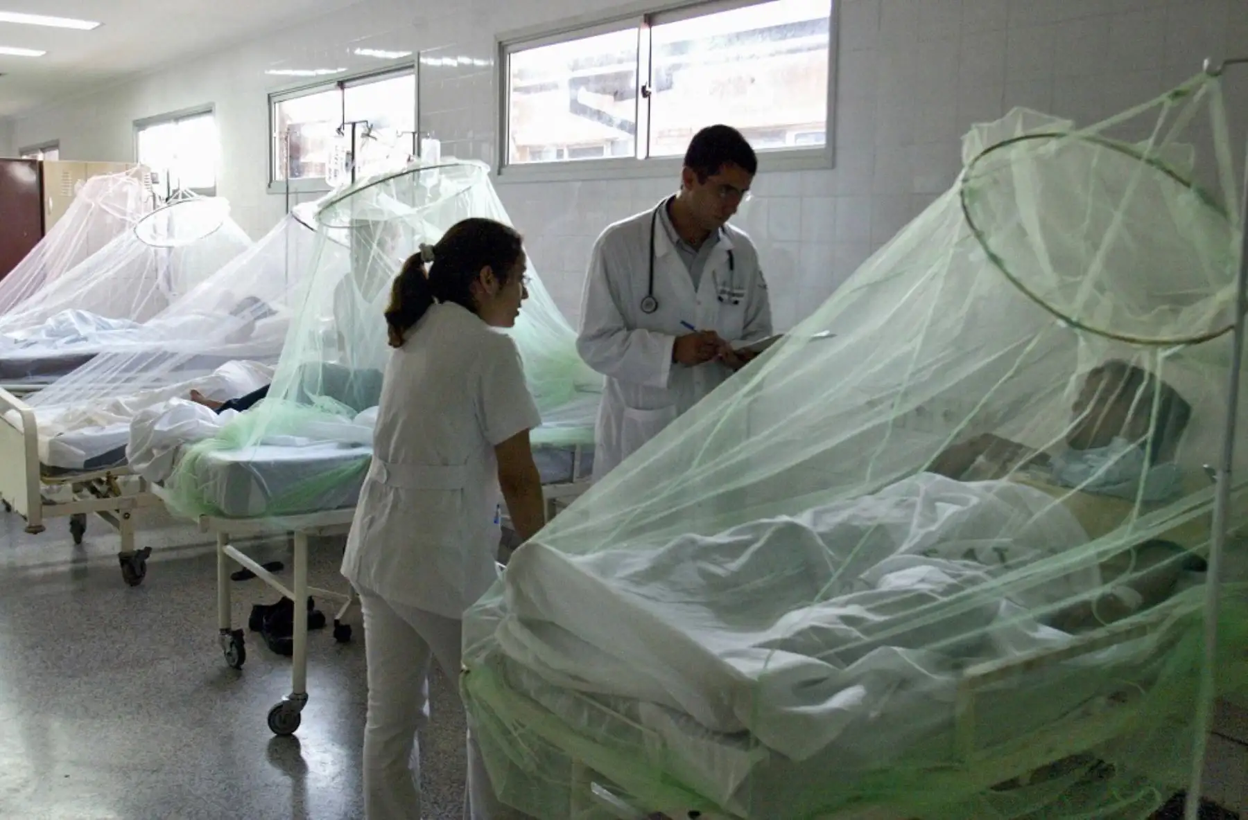 ¿Cuáles son los factores por lo que se puede agravar un caso de dengue?. Foto: Andina/Difusión