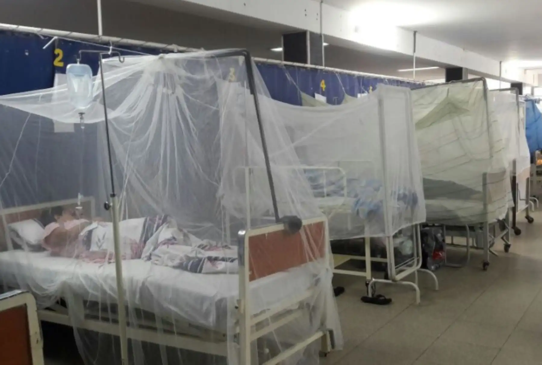 La incidencia de dengue disminuyó considerablemente en la región Piura, dado que se reportaron 124 casos confirmados en el primer trimestre de este año frente a los 1,161 casos registrados en el mismo periodo del año pasado, informó la Dirección Regional de Salud (Diresa). ANDINA/Difusión