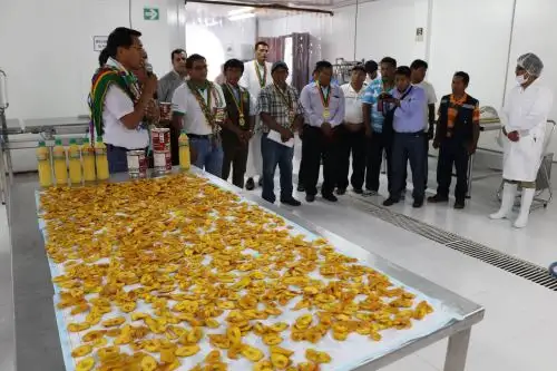 Con nueva planta procesadora, agricultores de San Gabán, en Puno, fabricarán néctares de fruta. ANDINA