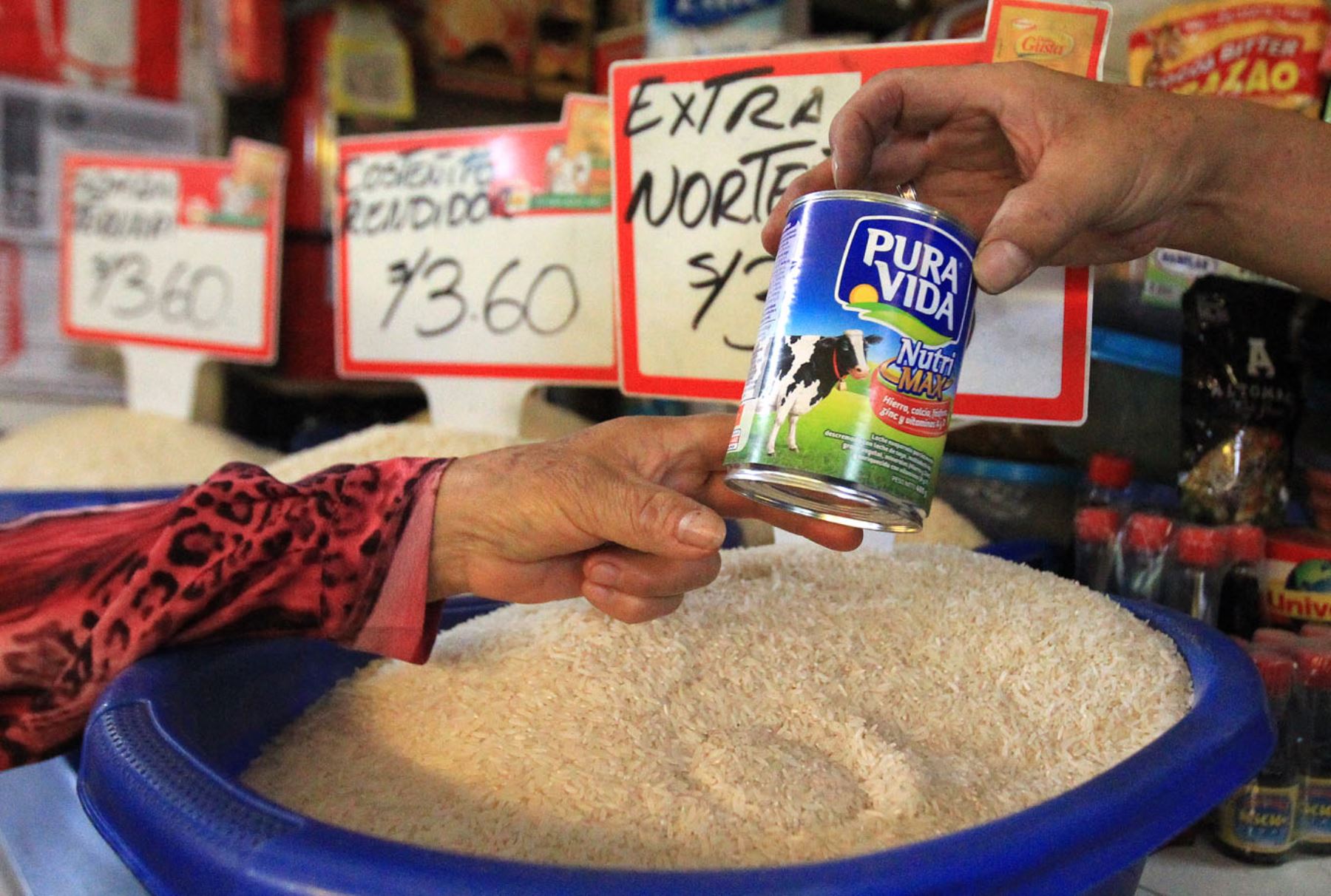 Foto: ANDINA/Héctor Vinces.