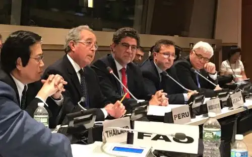 Peru promotes sustainable gastronomy at UN Ocean Conference