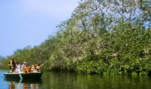 Conozca el Santuario Nacional Los Manglares de Tumbes. INTERNET/Medios