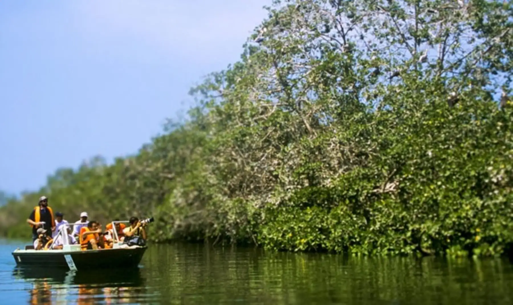 Turismo en Santuario Nacional Los Manglares de Tumbes. Foto: Walter Hupiú.