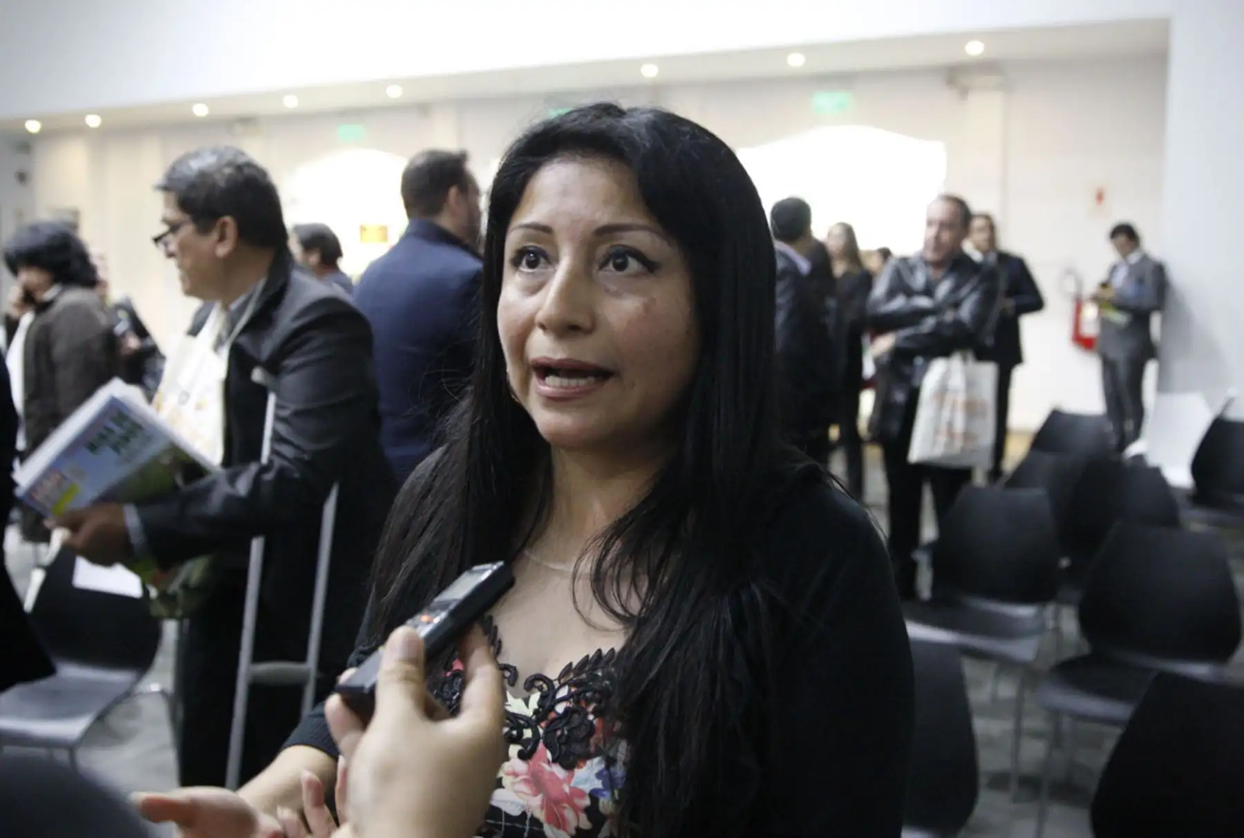 Directora de Inversión Descentralizada de Proinversión, Denisse Miralles. ANDINA/Eddy Ramos