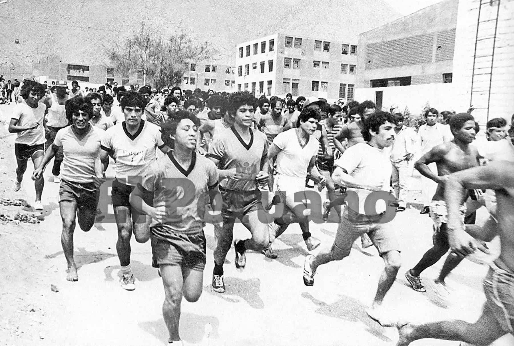 Foto: ANDINA/archivo.