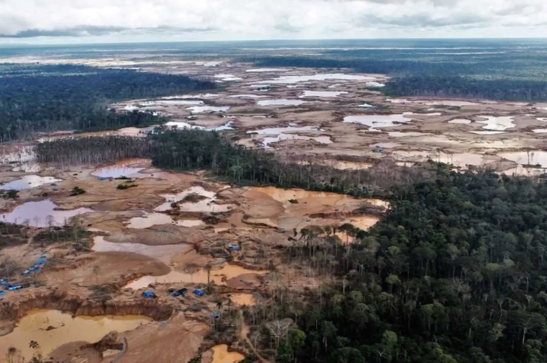 Deforestación en Madre de Dios