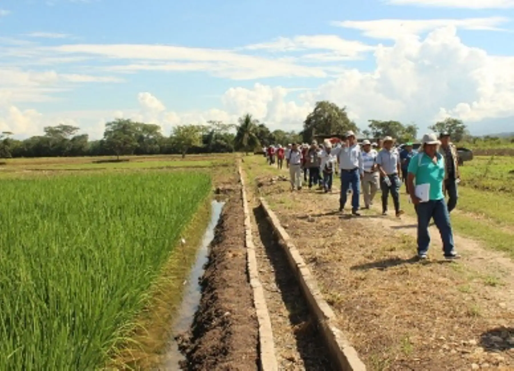Los asistentes fortalecieron sus capacidades técnicas en manejo eficiente de fertilizantes e insumos para asegurar una buena cosecha, prevención de las principales plagas y enfermedades, entre otros.