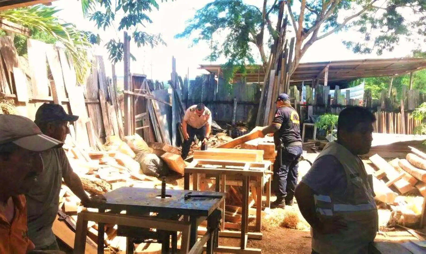 Foto: Decomiso de madera en San Martín.