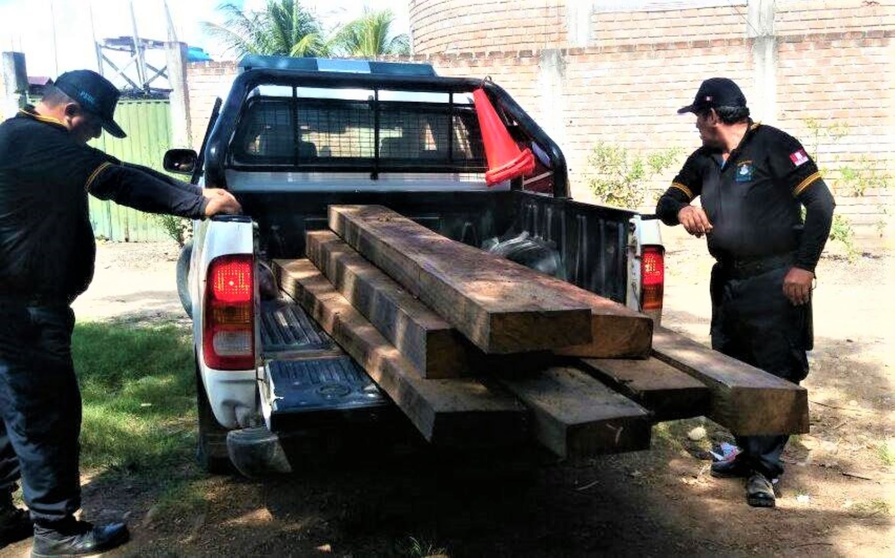 Decomiso de madera en San Martín.