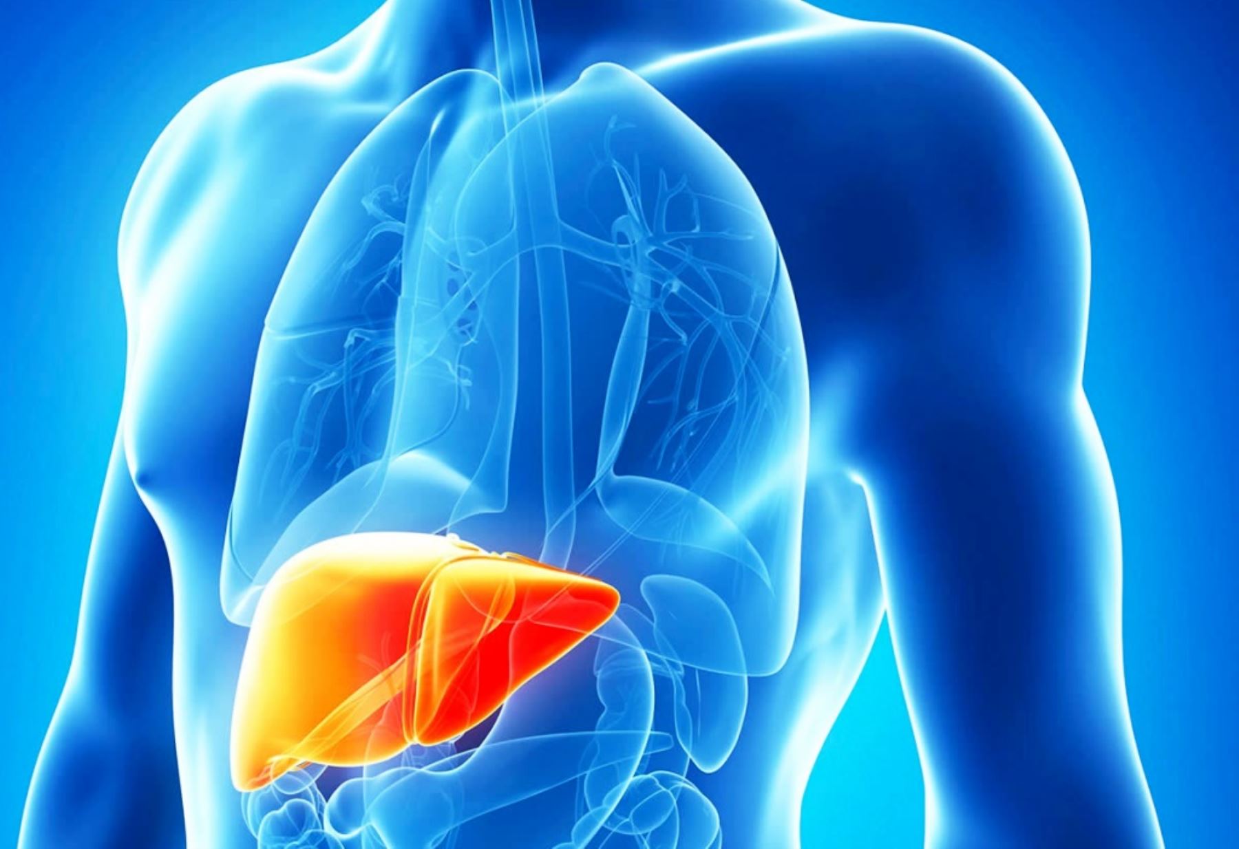 Cáncer de hígado: 90% de los casos son consecuencia de la hepatitis B