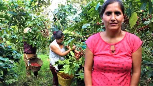 La Cooperativa comenzó con 30 socias, de las cuales se fueron la mitad, ahuyentadas por el pago de una contrapartida. Con la incorporación de jóvenes profesionales y dueñas de fundos, ahora son 60.