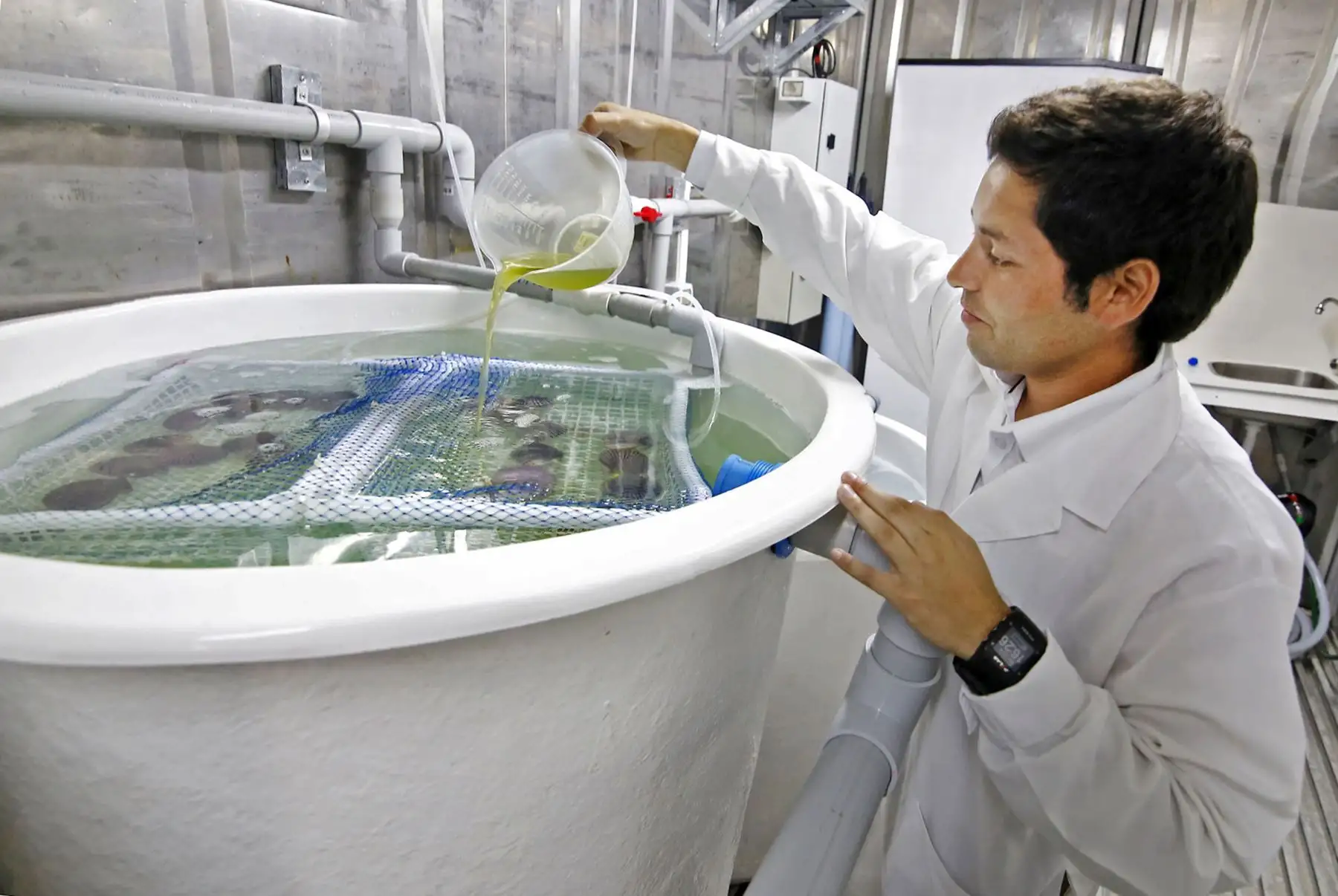 Investigación en Acuicultura. ANDINA/Difusión
