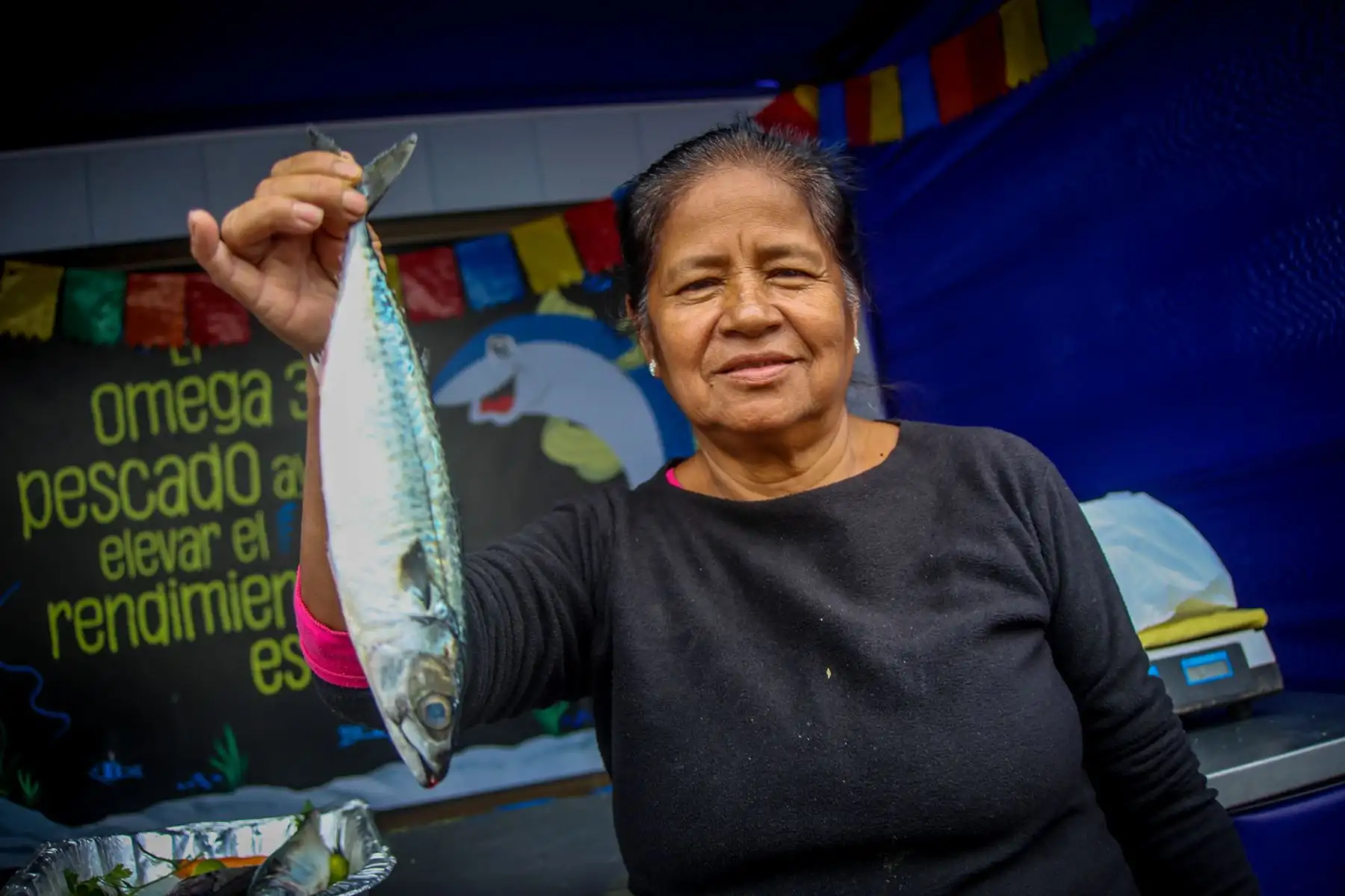 Pescado se ofertará a S/. 2 el kilo por el Día Nacional de Cebiche. Foto: ANDINA/Difusión.