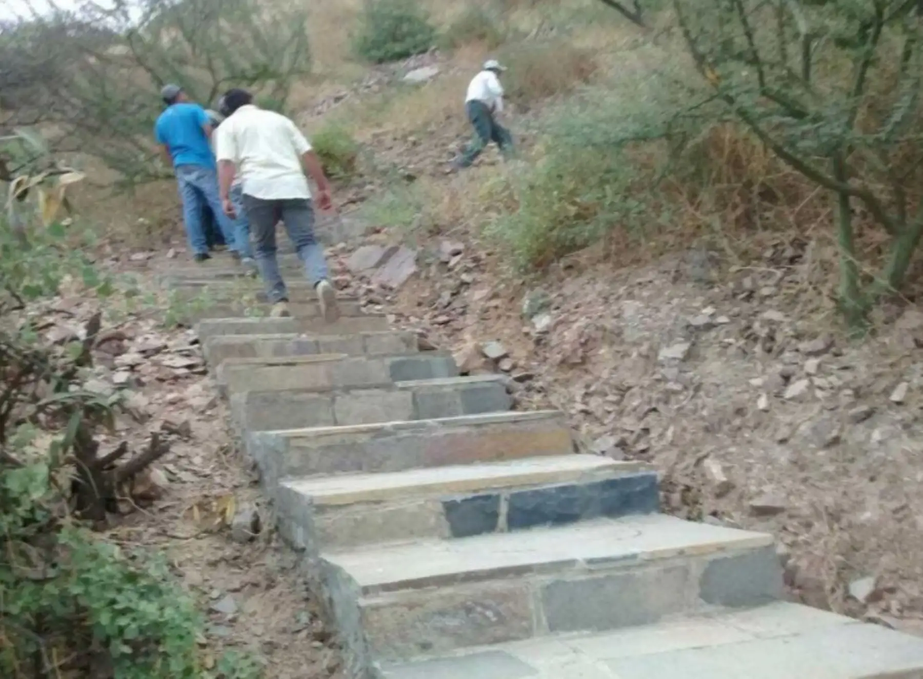 Culminan trabajos de señalización en Santuario Histórico Bosque de Pómac ANDINA/Difusión